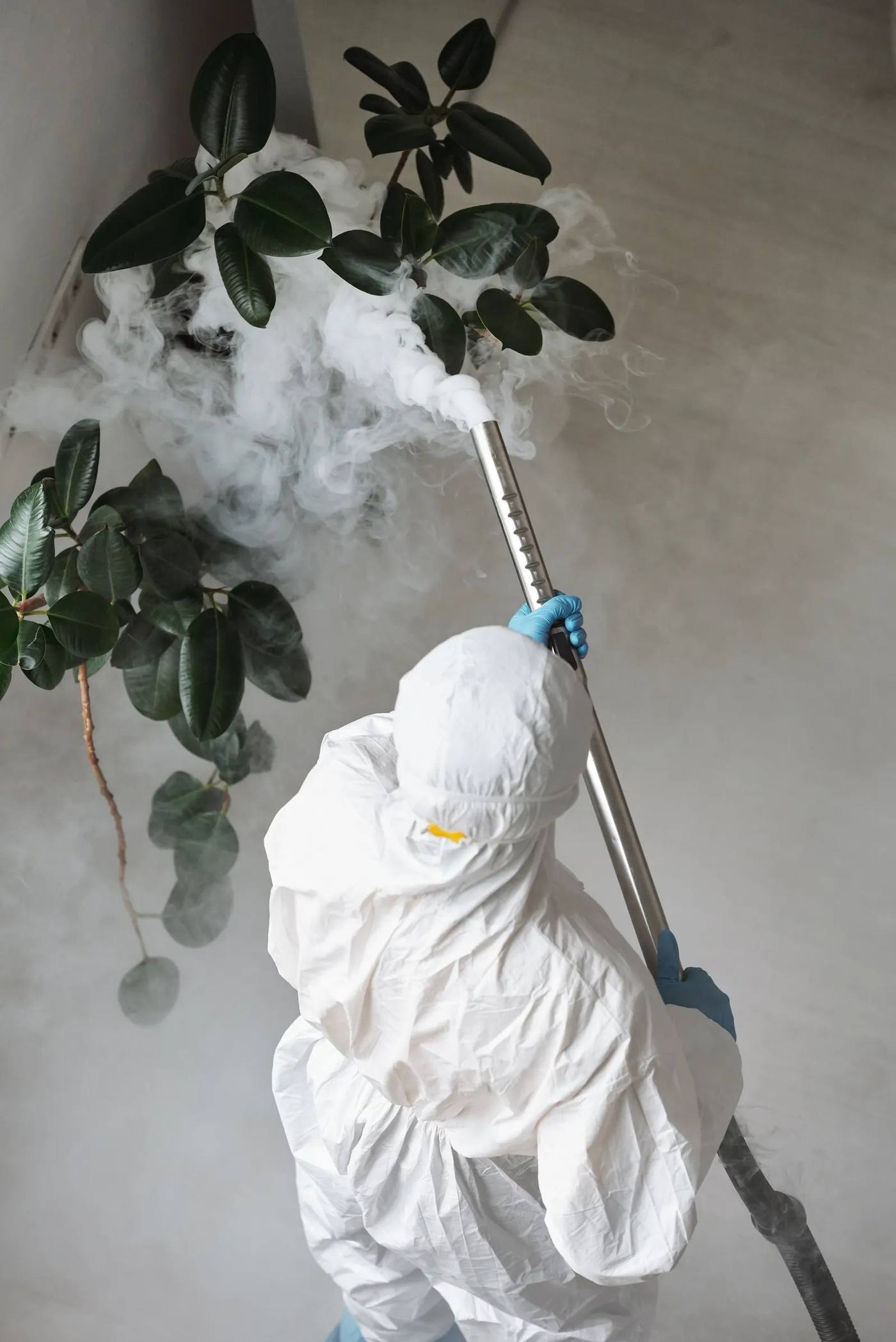 A technician at work treating plants around a property